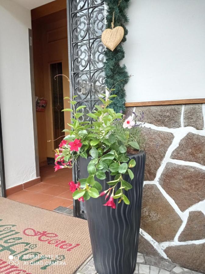 Hotel Millefiori Vigo di Fassa Bagian luar foto